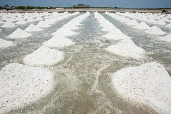 Heap of sea salt in a field prepared for harvest — Stock Photo, Image