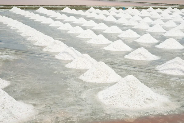 Heap of sea salt in a field prepared for harvest — Stock Photo, Image