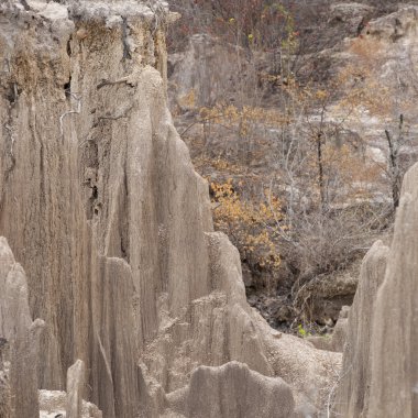 Taş Vadi