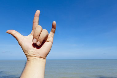 Rock'n roll işaret veren el