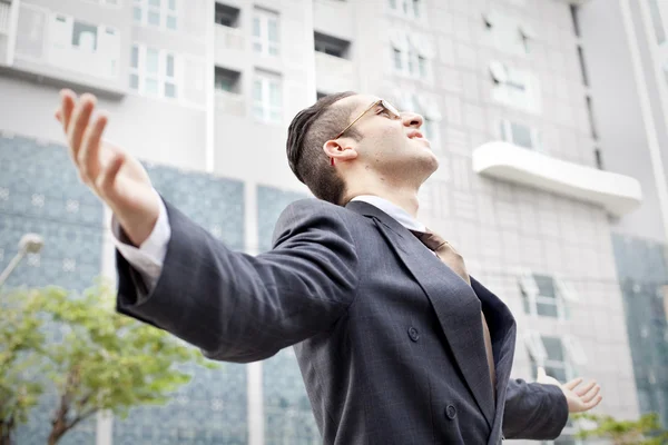 Happy businessman, successful concept — Stock Photo, Image