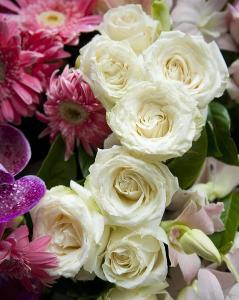 Close up van witte rozen — Stockfoto