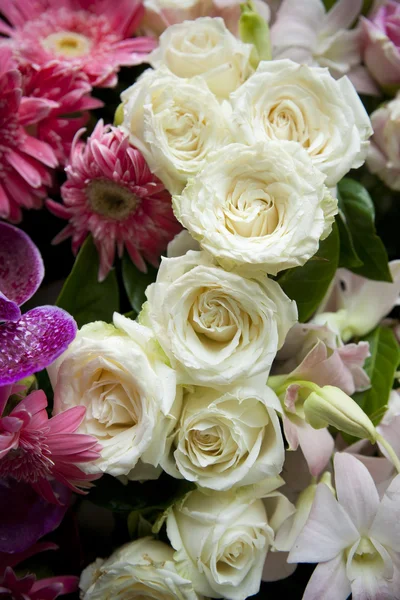 Close up of white roses — Stock Photo, Image