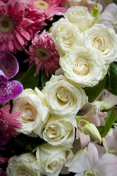 Primer plano de rosas blancas — Foto de Stock