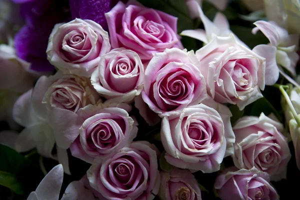 Purple rose bouquet — Stock Photo, Image