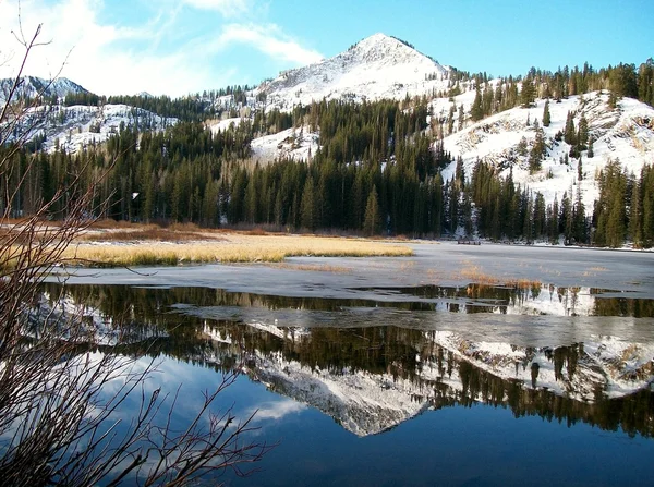 Silver Lake beauty — Stock Photo, Image