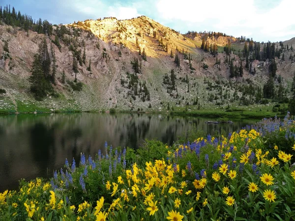 Lake Catherine beauty — Stock Photo, Image