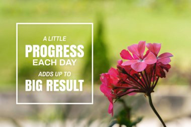 Taze doğaya karşı sardunya çiçeği. İlham verici bir alıntı. Her gün biraz ilerleme büyük sonuçlar doğuruyor..