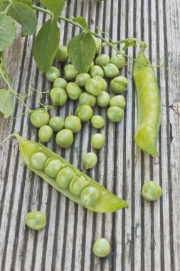 Masada yeşil Taneli bezelye