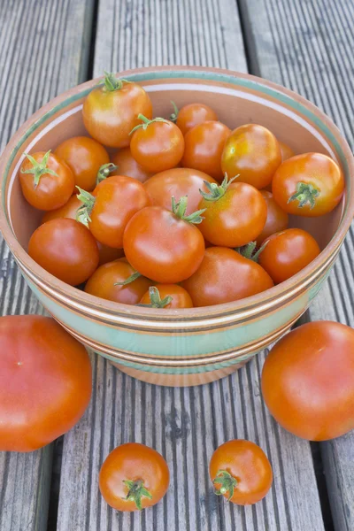 Спелые помидоры в миске на столе — стоковое фото