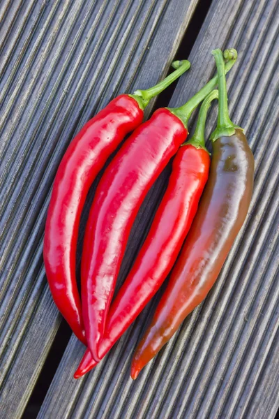 Гарячі червоні peppe — стокове фото