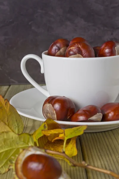 Chestnuts in a cup — Stock Photo, Image