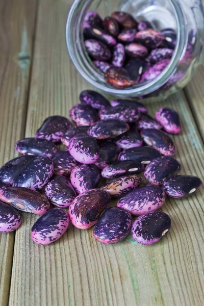 bright purple beans