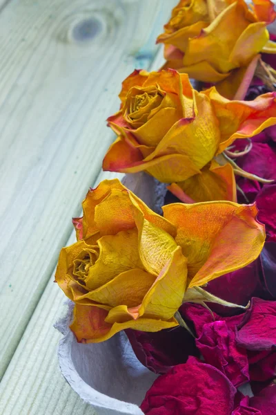 The dried roses — Stock Photo, Image