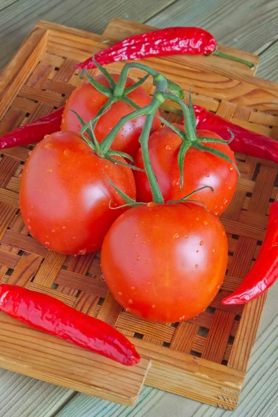 Гілка помідорів і гострий червоний перець — стокове фото