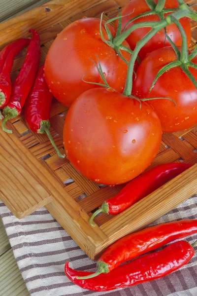 Гілка помідорів і гострий червоний перець — стокове фото