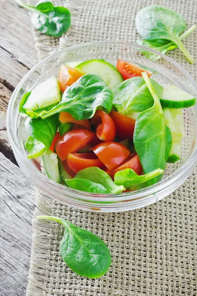 Spring salad of fresh vegetables — Stock Photo, Image