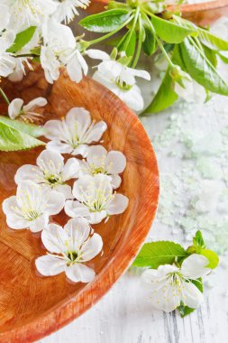 kozmetik tuz ve kiraz çiçek şube