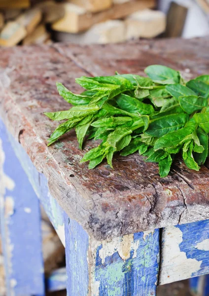 Fresh mint — Stock Photo, Image