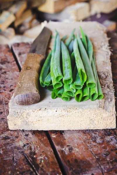 Onion stalks shallots — Stock Photo, Image