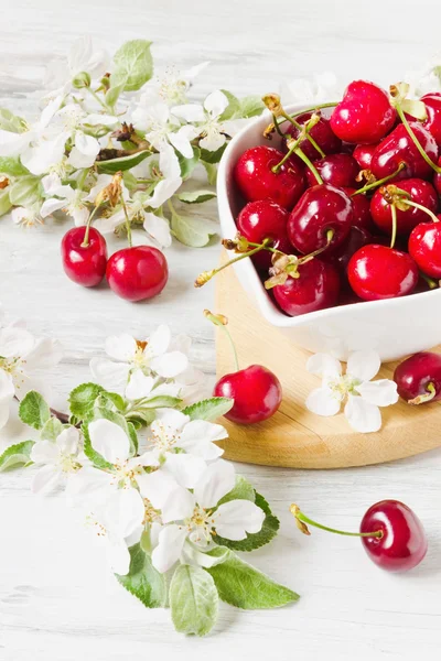Cerezas maduras en un tazón blanco —  Fotos de Stock