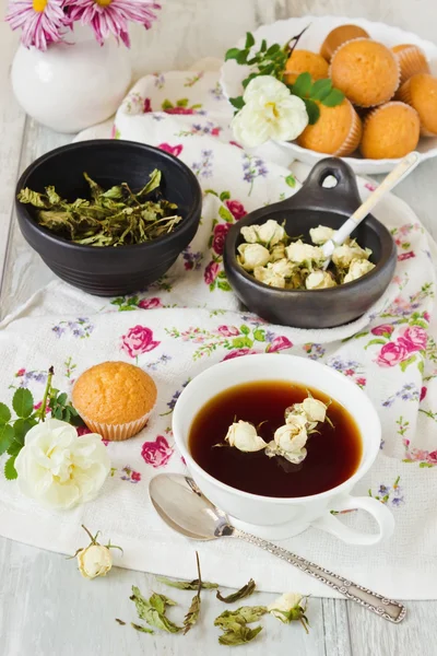 Freshly brewed tea — Stock Photo, Image