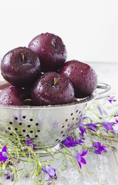 Ripe plums in a colander — Stock Photo, Image