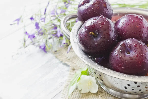 Ciruelas maduras — Foto de Stock