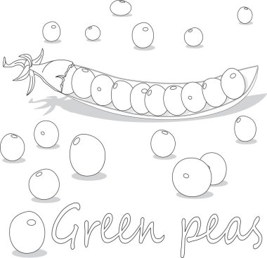 Beyaz arka planda taze yeşil bezelye. Tek renkli olsun. Vektör illüstrasyonu