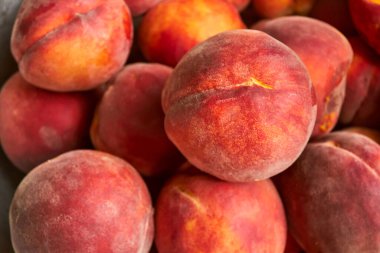 Mükemmel olgun portakal şeftalileri. Bir demet taze şeftali. Yaz meyve hasadı yakın plan. Tasarım için yaz yatay arka planı. Üst Manzara. Tek bir parçaya odaklan.