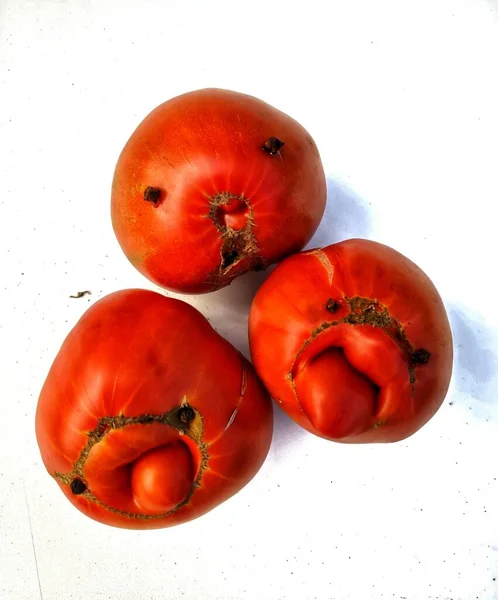 Lycklig Familj Roliga Söta Tomater Som Har Ögon Och Mun — Stockfoto