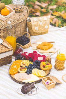 Renkli yaz pikniği. Lezzetli yemekler ve meyve suyuyla bahçedeki çayır doğa, seçici odaklanma..