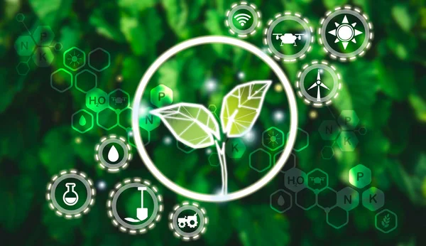 Modern agriculture concept with connected icons related to smart agriculture  modern technology concept, cultivating ecological agricultural using innovative technologies.