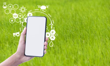 Pirinç tarlasında akıllı telefon kullanan akıllı çiftçi kavramı ve pirinç tarlalarındaki modern teknoloji uygulaması ile görsel ikon akıllı teknoloji tarım sistemi için üretim kontrolü.