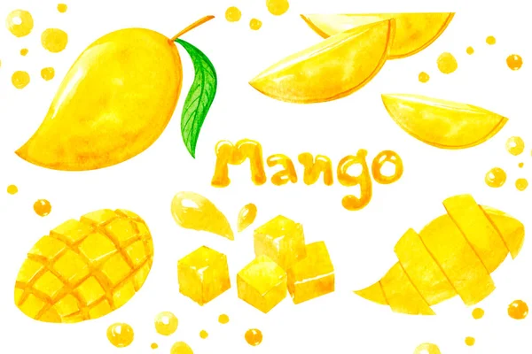 Watercolor Collection Hand Drawn Illustration Mango Whole Sliced Leaf Paint — Stock Photo, Image