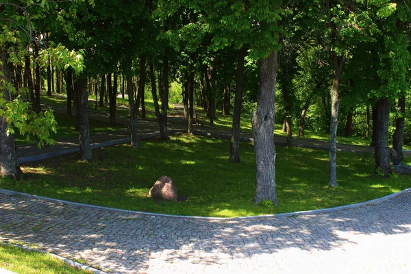 Parte vicoli e alberi — Foto Stock