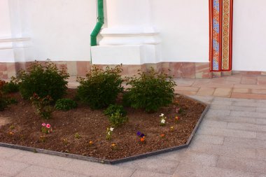 Flowerbed building yakınındaki