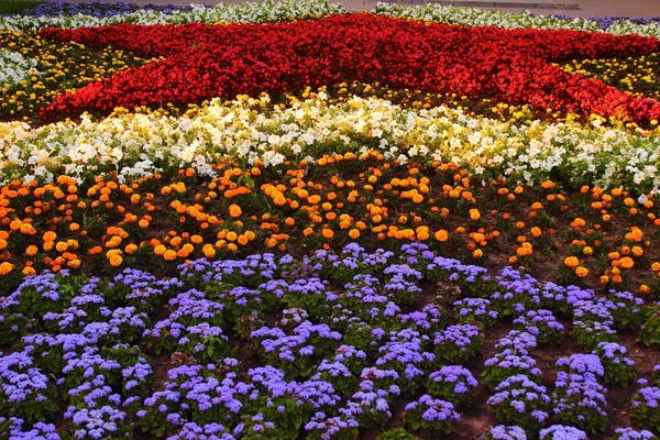Buntes Blumenbeet — Stockfoto