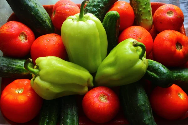 Whole fresh vegetables — Stock Photo, Image