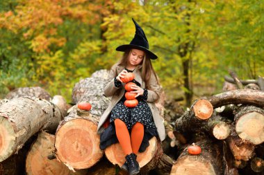 Elinde balkabağı olan tatlı bir kız. Cadılar Bayramı 'nı dışarıda kutlayan ve eğlenen küçük kız. Çocuklar şaka mı şeker mi? Mutlu Cadılar Bayramı ya da Şükran Günleri. Seçmeli odaklanma.