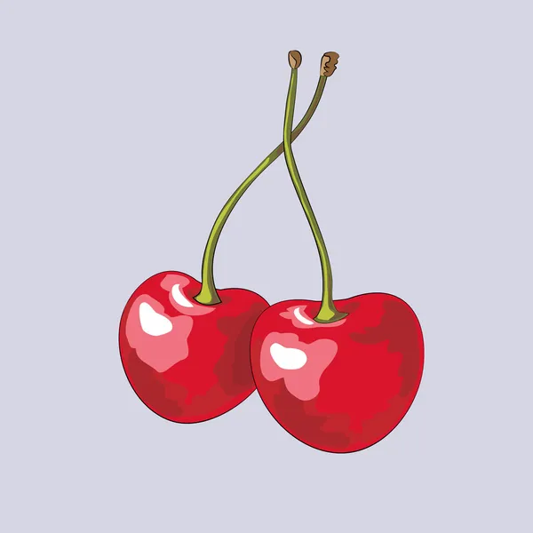 Cerezas maduras — Vector de stock