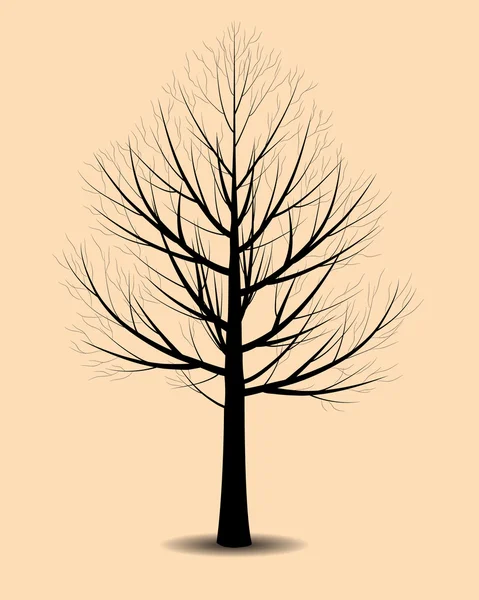 Silhouette of tree — Stock Vector