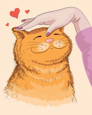 el ve kırmızı kedi