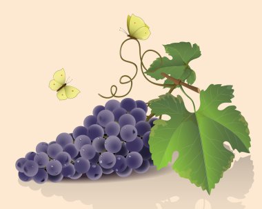 üzüm ve kelebekler