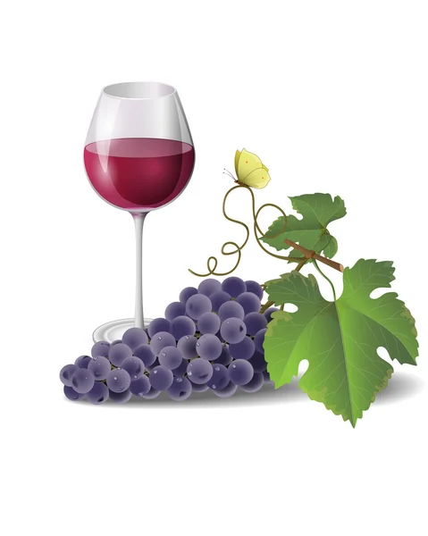 葡萄酒和葡萄 — 图库矢量图片