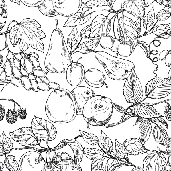 Bosquejo de frutas — Archivo Imágenes Vectoriales
