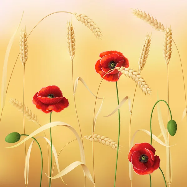 小麦和罂粟 — 图库矢量图片