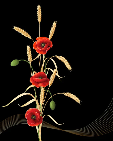 小麦幼穗和罂粟花 — 图库矢量图片