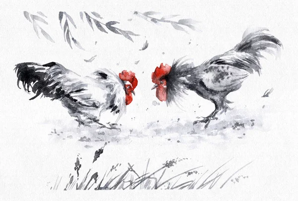 Watercolor sketch of young roosters fight. Cockfighting scene on the farm yard. Hand painting two fighting cock monochrome animalistic illustration.