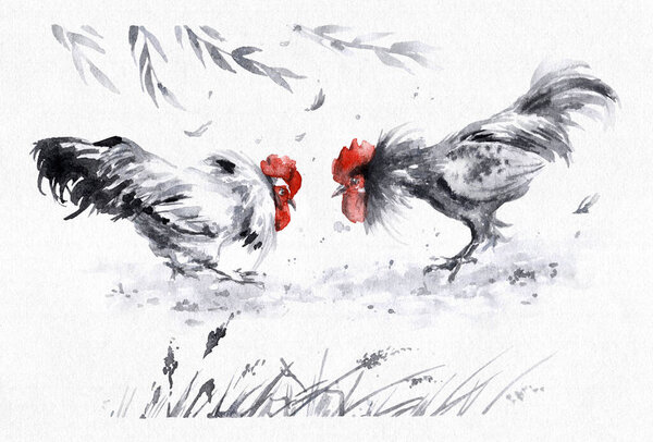 Watercolor sketch of young roosters fight. Cockfighting scene on the farm yard. Hand painting two fighting cock monochrome animalistic illustration. 